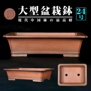 盆栽鉢 「壱興紅泥木瓜式鉢」 植木鉢 作家鉢 一弘 壱興造記 常滑 共箱