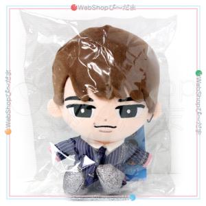 ☆Snow Man Dome Tour 2025-2026 ON すのチルソフビ 渡辺翔太◇新品Ss