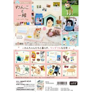 リーメント ぷちサンプル わたしの街のぷち薬局 全8種 1BOX：8個