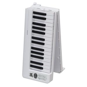 CASIO（カシオ） Casio CPS-100 Piacere Keyboard 電子ピアノ