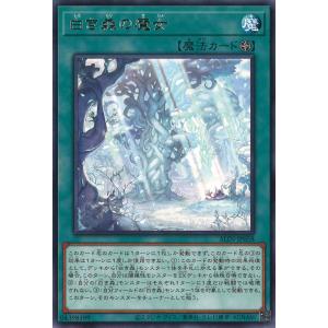 遊戯王オフィシャルカードゲーム デュエルモンスターズ 白き森の罪宝