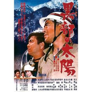 赤川次郎の三毛猫ホームズシリーズ DVD-BOX 3枚組 ☆ 石立鉄男 坂口