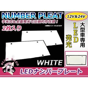 汎用 24V アクリル ステンレス ナンバー フレーム 大型用 トラック LED