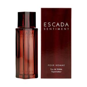 ESCADA（エスカーダ） マグネティズム フォーメン EDT SP 50ml 香水