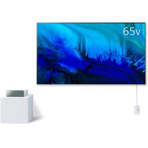 VIERA TH-55LW1 パナソニック 55V型 4K有機ELテレビ ウォールフィット