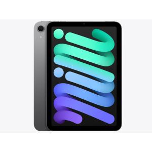 Apple iPad mini 第7世代 Wi-Fi 256GB MXNA3JA スペースグレイ【お