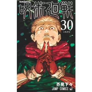 呪術廻戦（全30巻+0巻+0.5巻+公式ファンブックセット） : マンガ屋