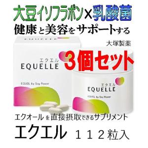 エクエル 120粒入 3個セット パウチ エクオール 大塚製薬 EQUELLE