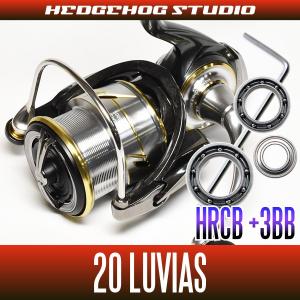 ダイワ】24ルビアス LT2000S-P - LT5000D-CXH, ST SF1000S-P LT2500S