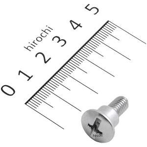 2343□CBX400F/CBX550F テールレンズ取付用ステンレスボルト(2本