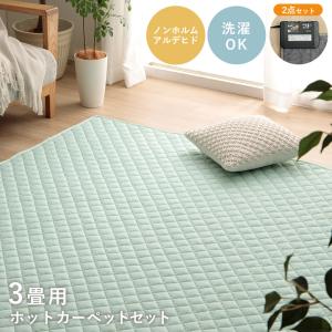 Panasonic（パナソニック） DQ-3C420-H(DQ3C420H) カーペットカバー 3