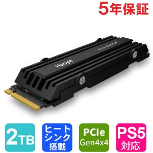 Hanye HE70-2TBNHS1 [HE70 M.2 Type2280 NVMe 2TB] 内蔵型SSD - 最安値