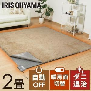 Panasonic（パナソニック） DC-2NKM ホットカーペット 本体のみ 2畳