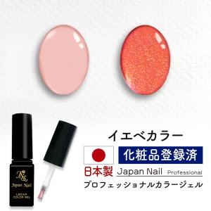 数量限定 2026福袋】カラージェル ジャータイプ30色セット ジェル