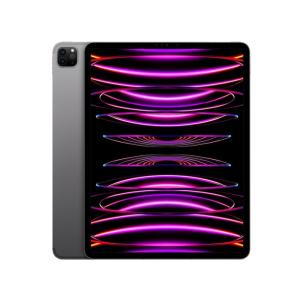 ☆アップル / APPLE iPad Pro 13インチ Wi-Fi 512GB 2024年春モデル