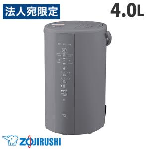 象印（ZOJIRUSHI） 象印マホービン スチーム式加湿器 4.0L ソフト