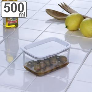 TAKEYA（タケヤ） 保存容器 フレッシュロックコンテナ SS 300ml