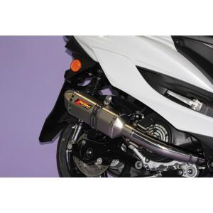 レーシングマフラーZ ウイルズウィン（WirusWin） シグナスX（CYGNUS-X