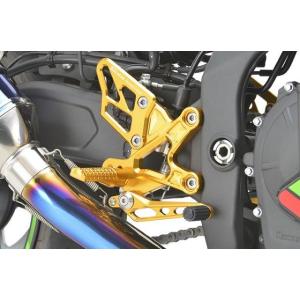 POSH（ポッシュ） BEET ビート ハイパーバンク バックステップ カラー