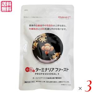 ターミナリアファースト プロフェッショナル4 [ リニューアル最新版