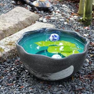 信楽焼 睡蓮鉢 メダカ鉢 おしゃれ めだか鉢 陶器 水鉢 ビオトープ