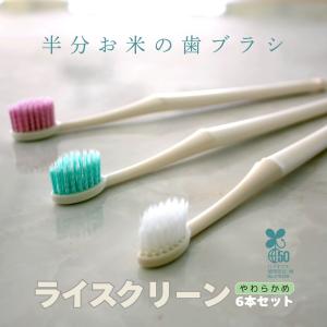 Luna 3本 竹から生まれた歯ブラシ ルナ 竹歯ブラシ セット 箱入 BPA