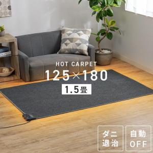 ホットカーペット 1畳 本体 TEKNOS 90×180cm おしゃれ 節電 ダニ退治