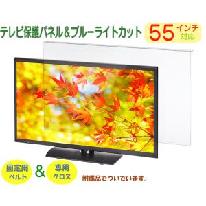 SANWA SUPPLY（サンワサプライ） テレビ 保護パネル 液晶テレビ TV
