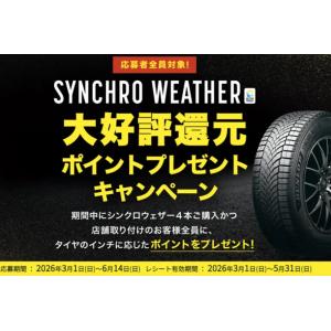 DUNLOP（ダンロップ） 【4本set】ダンロップ SYNCHRO WEATHER 165