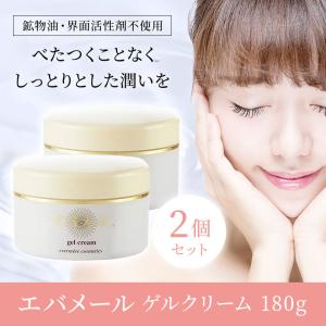 エバメール 正規品 オールインワンゲル クリーム 詰替え用 500g S 2個