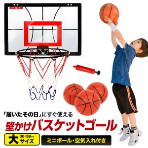 Ballaholic Basic Zip Shorts (pine green/ivory) ボーラホリック