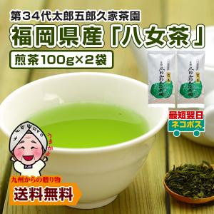 山麓園 2025年 新茶 入荷 極上知覧新茶 100g 高級 知覧茶 お茶 煎茶