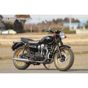 r's gear（アールズギア） 【2月27日出荷】アールズギア W800（'11-'16