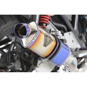 r's gear（アールズギア） WH34-S1ST CB400SF/SB (18-) ワイバンR フル