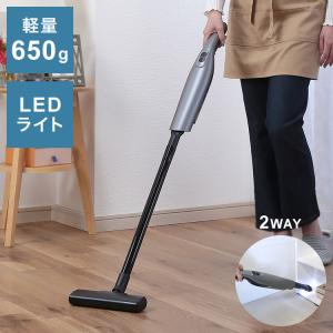 CORONA（コロナ） スペースNEO ミニ FF式石油暖房機 FF-SG5613M (木造