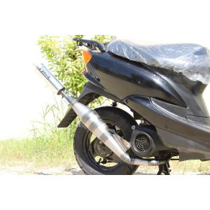 カメレオンファクトリー製 A206 パラライザー3 スーパーJOG ZR(00