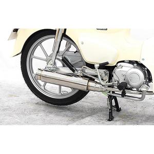 WirusWin（ウイルズウィン） バックレスト付タンデムバー CB400SF(NC38