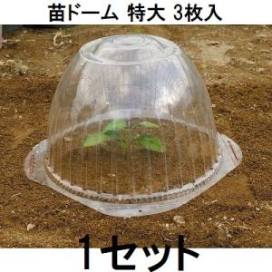 5枚入) 苗ドーム 大 第一ビニール 苗カバー (zs30) : ザ・タッキー