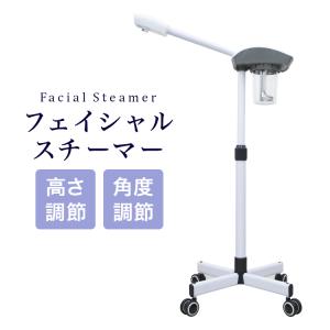 フェイススチーマー 美顔器 FS100 タイマー付き 全2色 フェイシャル