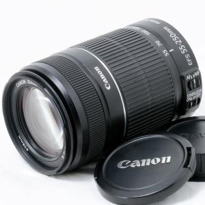 EFレンズ キャノン 望遠ズームレンズ Canon EF 100-300mm F4.5-5.6 USM