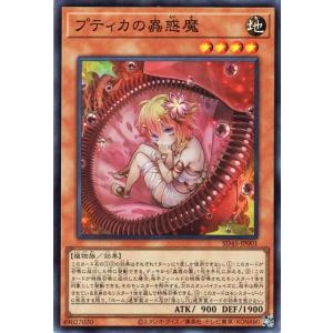 遊戯王オフィシャルカードゲーム デュエルモンスターズ 遊戯王カード