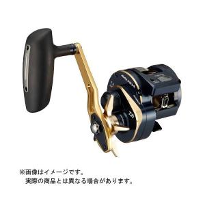 DAIWA（ダイワ） (5)ダイワ 25 ソルティガ IC 300HL-SJ-C 左ハンドル