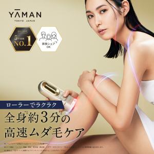 Panasonic（パナソニック） 光美容器 脱毛器 光エステ ボディ