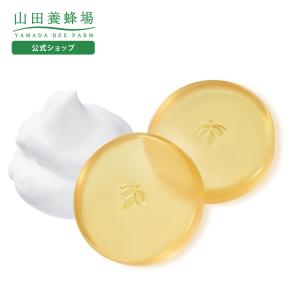 wamiles（ワミレス） ベーシックライン イオンヌ クレイソープ 100g