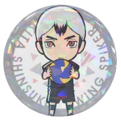 ハイキュー 少年ジャンプ アニメキャラクター 缶バッジ ホログラム
