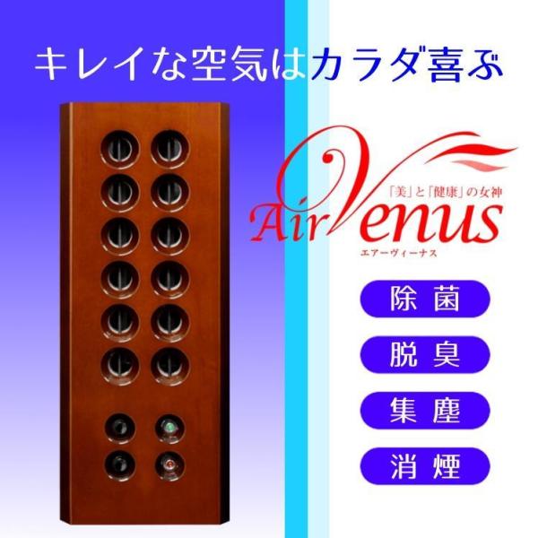 Salir 空気清浄機 KO-102D マイナスイオン Salir 空気清浄機 KO-102D