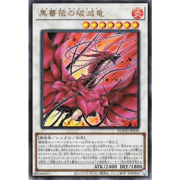 遊戯王オフィシャルカードゲーム デュエルモンスターズ 遊戯王カード