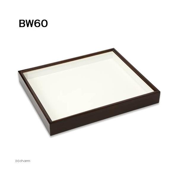 バードウィング製 ドイツ型標本箱 BW60（幅50．7×奥行き41