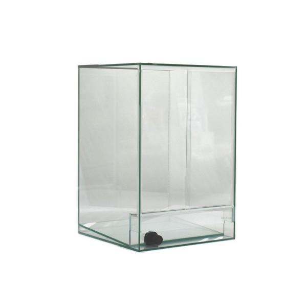 佐川急便発送・当日出荷14時まで・送料無料) Rain Forest パルダリウム