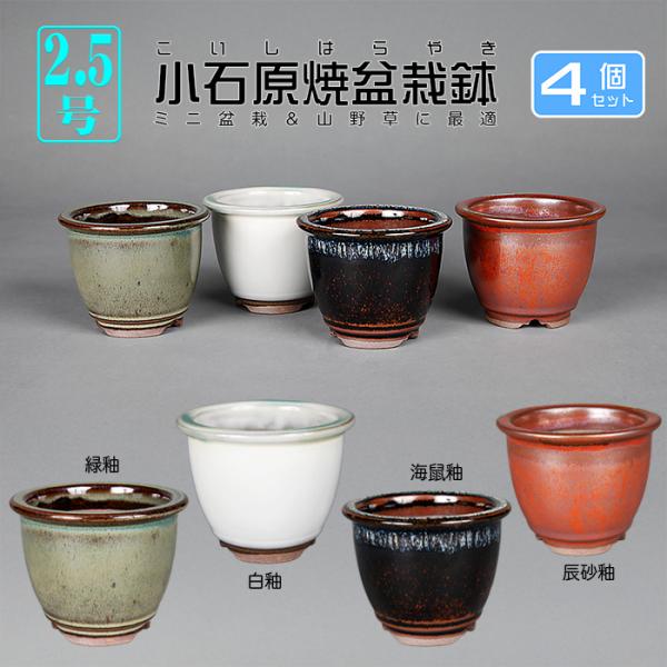 盆栽鉢 小石原焼2.5号深外縁丸鉢4点セット 山草鉢 植木鉢 口径8cm 小品